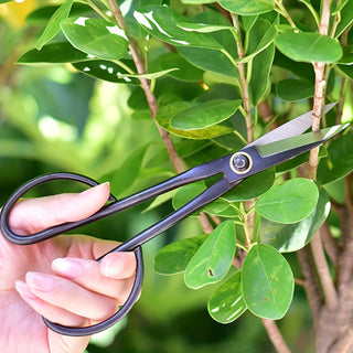 Präzisions-Bonsai-Schere: Effortless Trimming Tool!