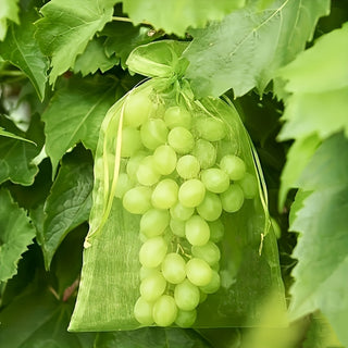 Gartennetzbeutel zum Schutz von Früchten – Atmungsaktiv & Leicht